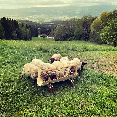 公寓 Ferienhuette Simon Gregor *