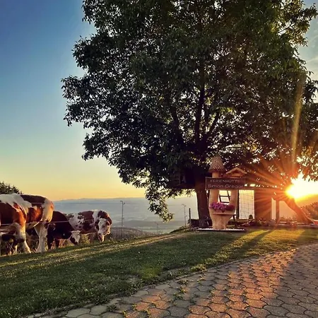 公寓 Ferienhuette Simon Gregor