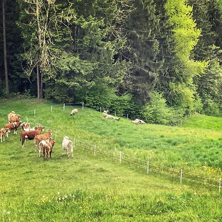 Ferienhuette Simon Gregor * Eitweg