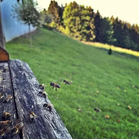 Ferienhuette Simon Gregor * Eitweg