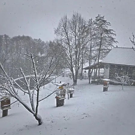 Ferienhuette Simon Gregor Апартаменты Eitweg