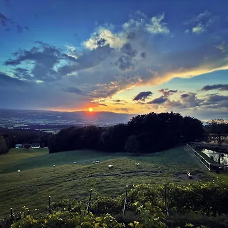 Ferienhuette Simon Gregor Апартаменты *