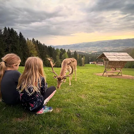 Ferienhuette Simon Gregor Διαμέρισμα Eitweg