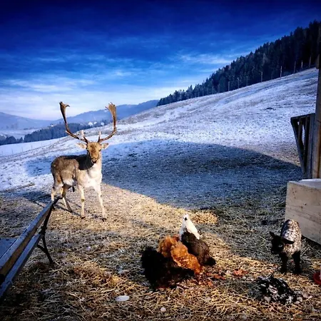 Ferienhuette Simon Gregor *