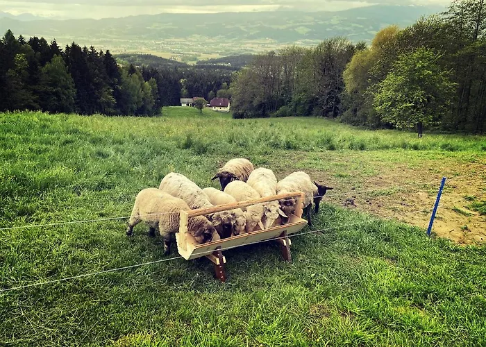 Apartament Ferienhuette Simon Gregor *