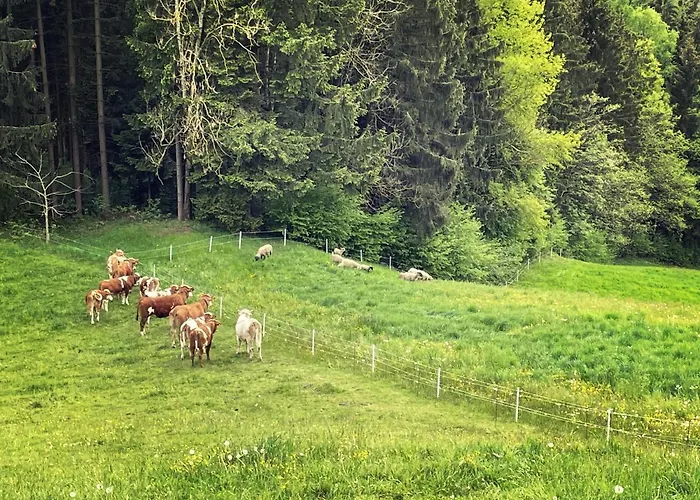 Ferienhuette Simon Gregor * Eitweg