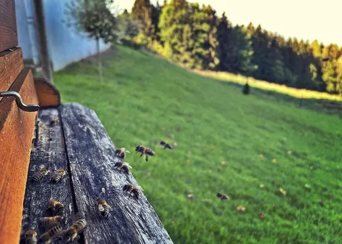 Ferienhuette Simon Gregor * Eitweg