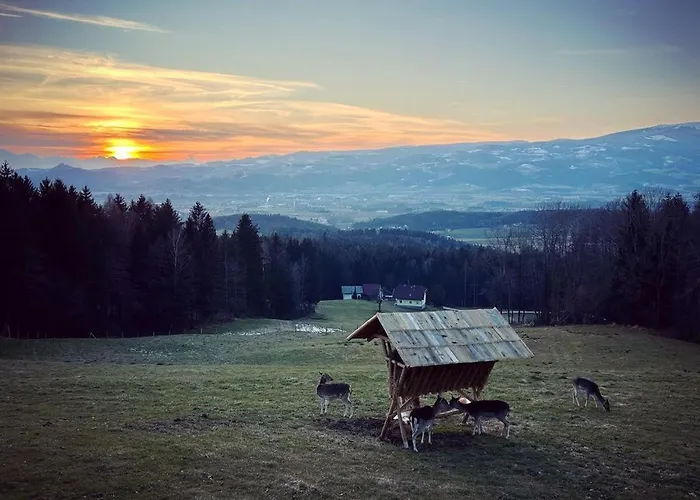 Apartament Ferienhuette Simon Gregor